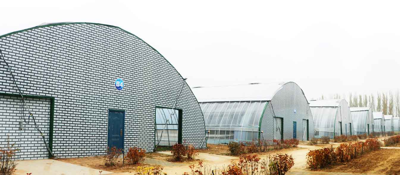 2、四季溫室網(wǎng)頁_11.jpg 2、四季溫室網(wǎng)頁_11.jpg