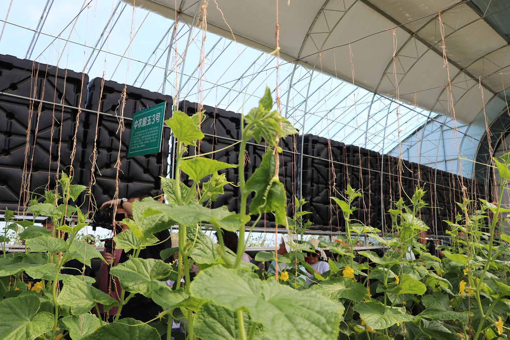 IMG_6523切.jpg IMG_6523切.jpg