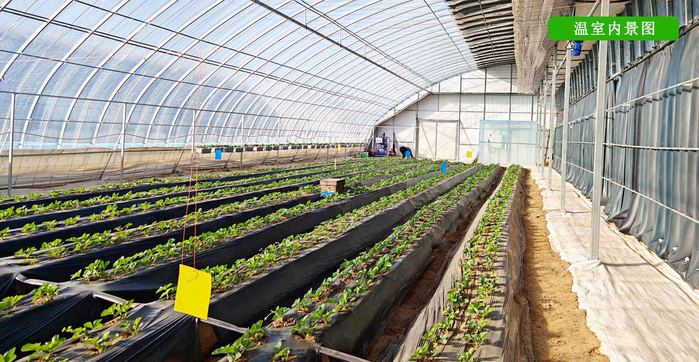 2、全天候四季溫室網(wǎng)頁_12.jpg